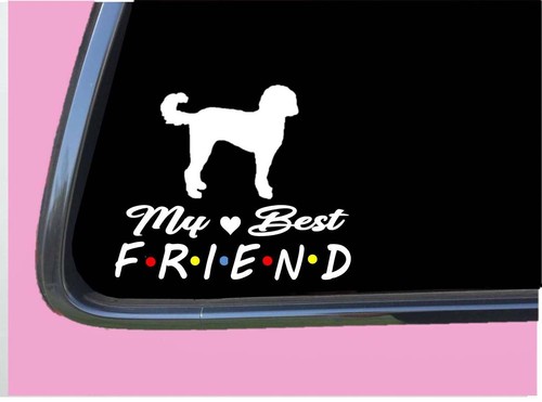 Doodle best friend 802 - doodle, tp